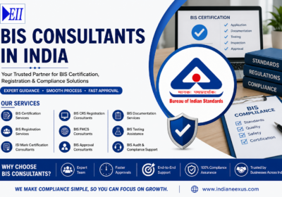 BIS CONSULTANTS IN INDIA