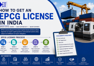 How to Get an EPCG License in India