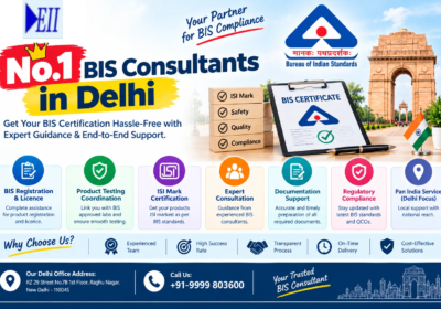 No.1 BIS Consultants in Delhi