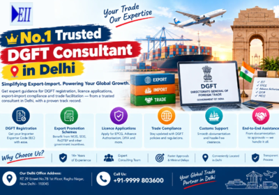 No.1 Trusted DGFT Consultant in Delhi