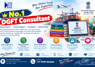 No.1 DGFT Consultant