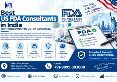 Best US FDA Consultants in India