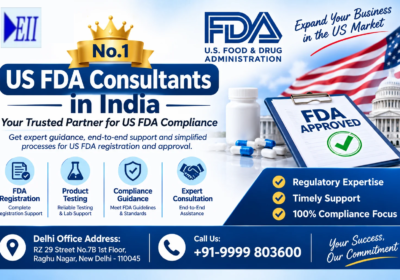 No.1 US FDA Consultants in India